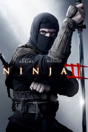 Ninja 2: Ombre d'une déchirure