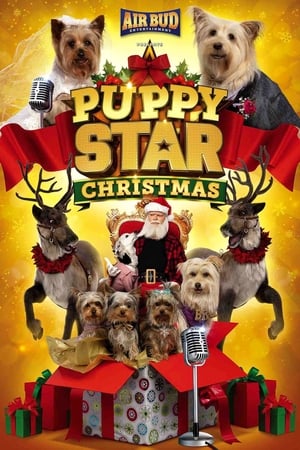 Puppy Star : c’est Noël !