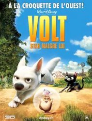 Volt, star malgré lui